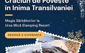 Glamping Ursa Mica