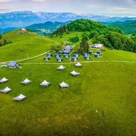 Ursa Mica Glamping Resort Şirnea Exterior foto