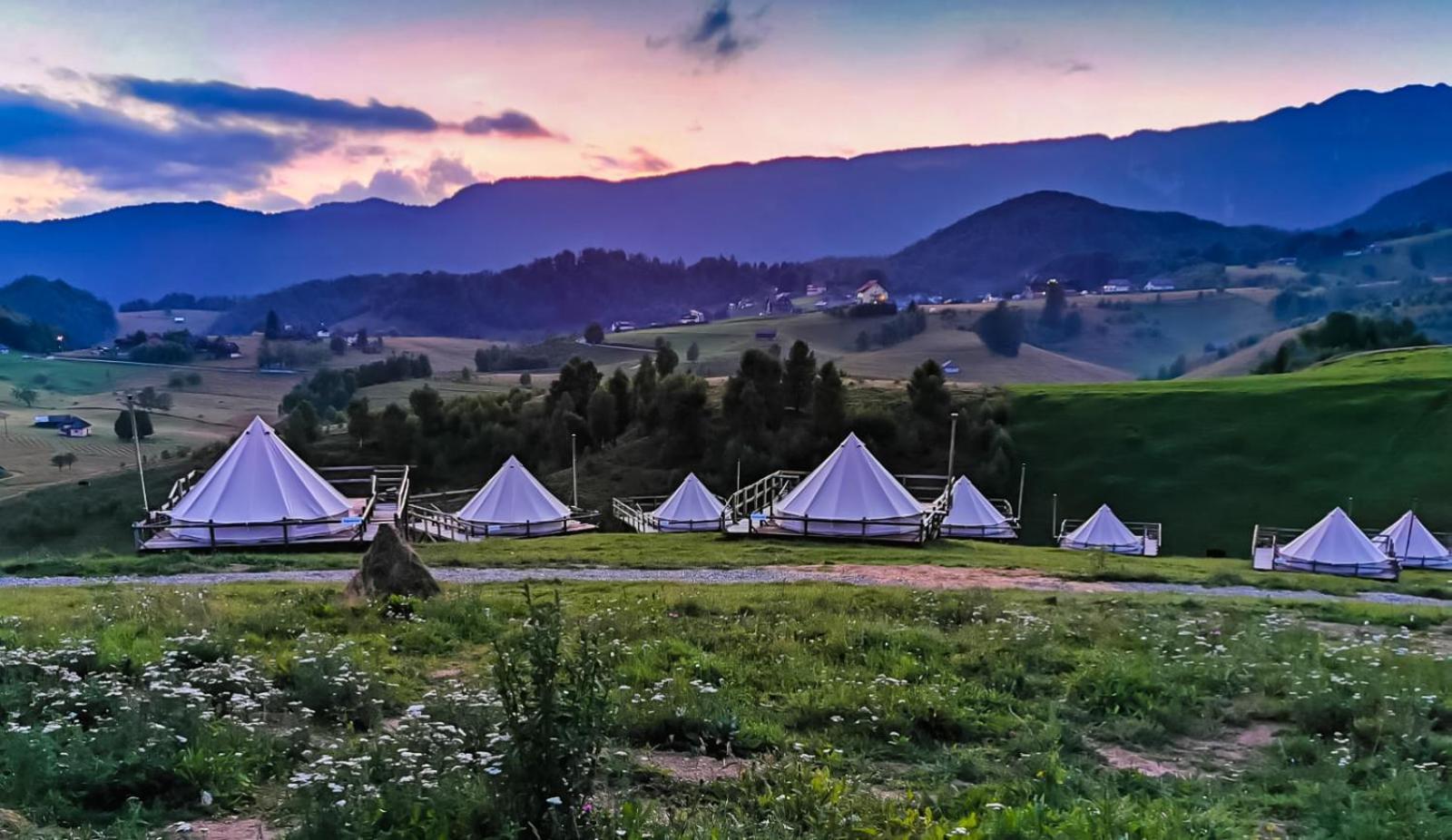 Ursa Mica Glamping Resort Şirnea Exterior foto