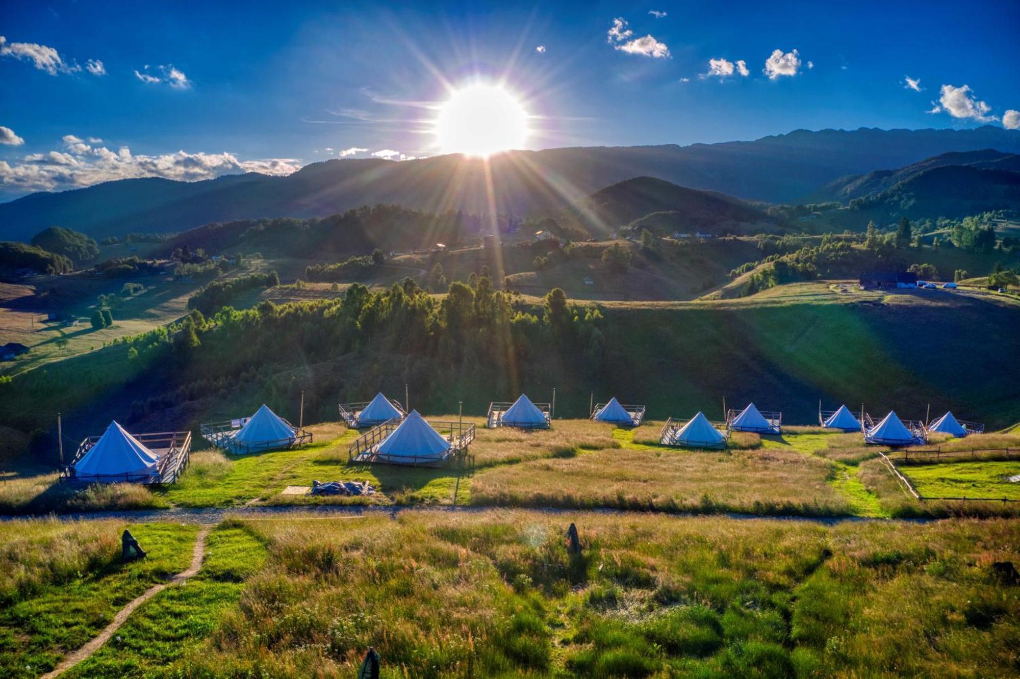 Ursa Mica Glamping Resort Şirnea Exterior foto