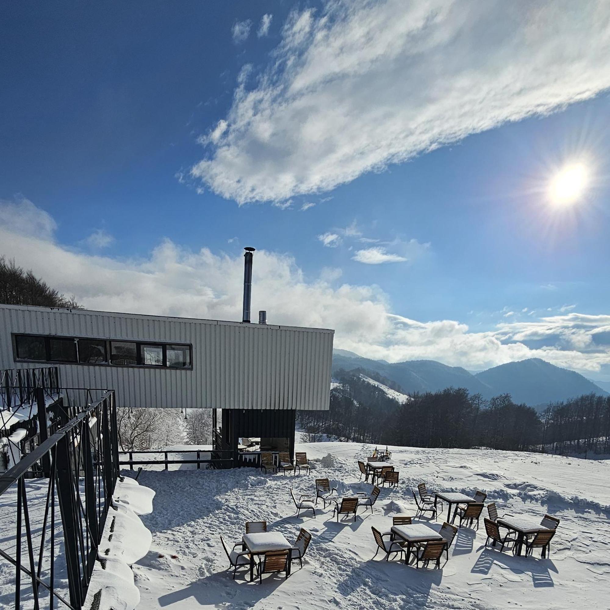 Ursa Mica Glamping Resort Şirnea Exterior foto