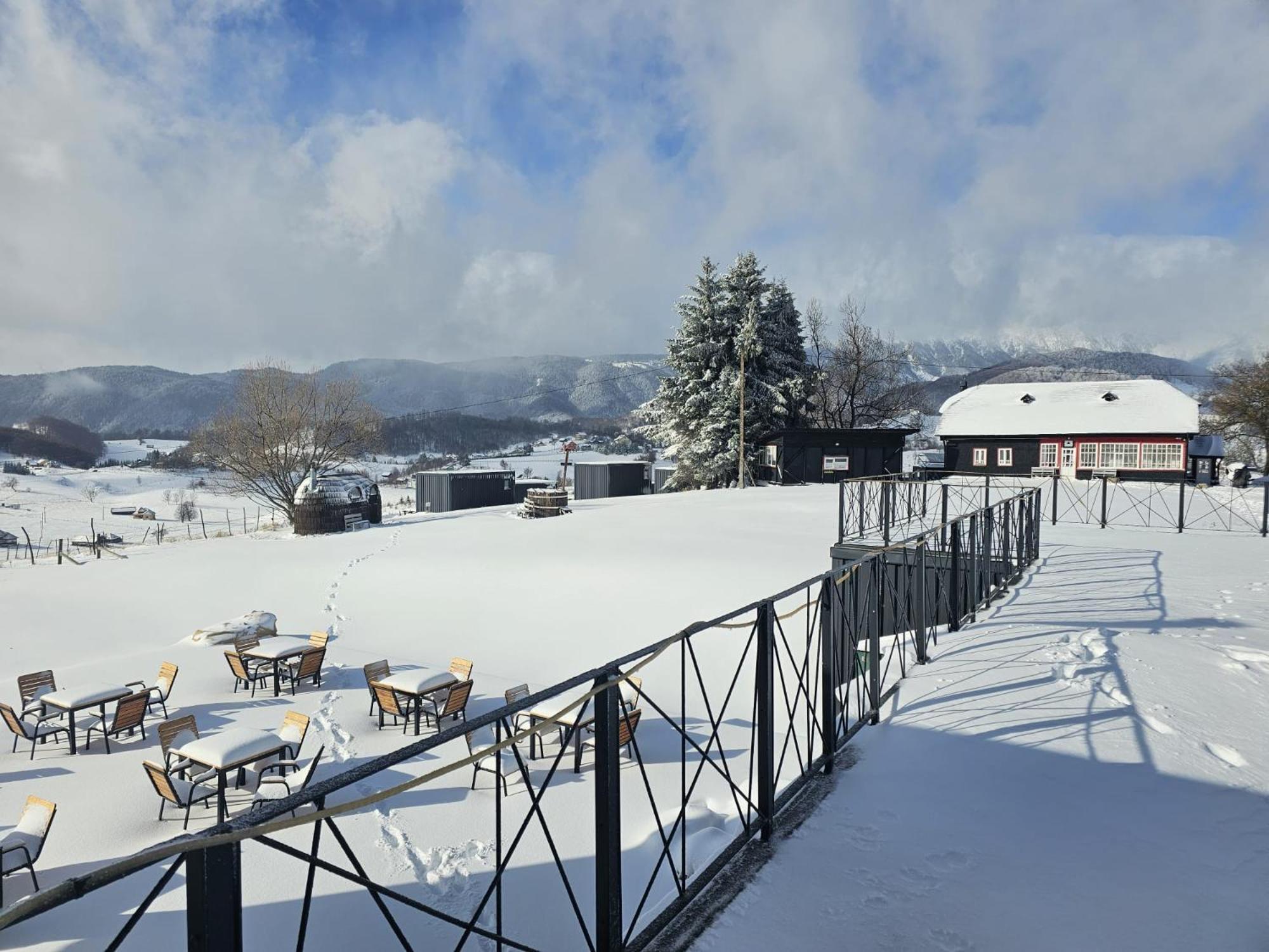 Ursa Mica Glamping Resort Şirnea Exterior foto