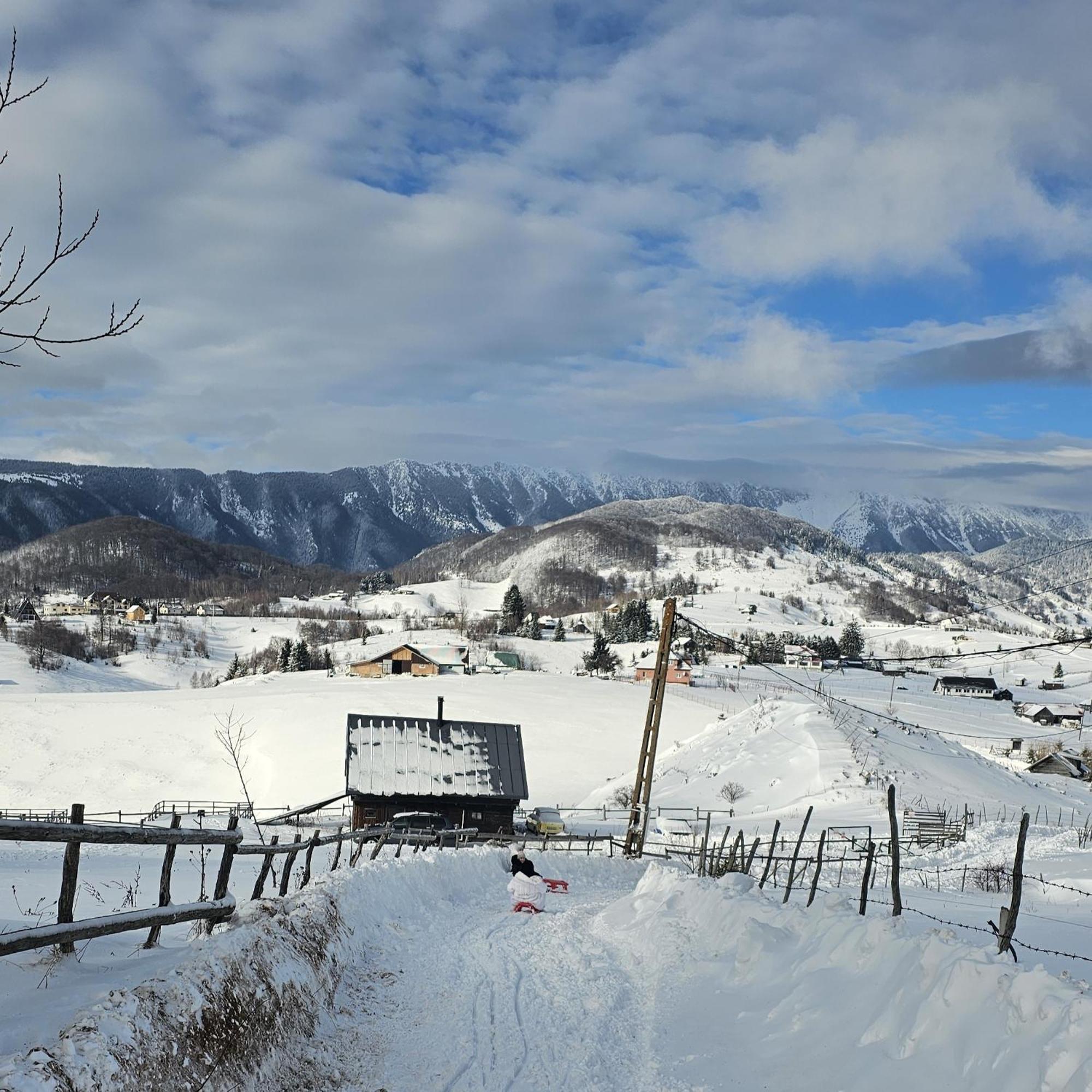 Ursa Mica Glamping Resort Şirnea Exterior foto