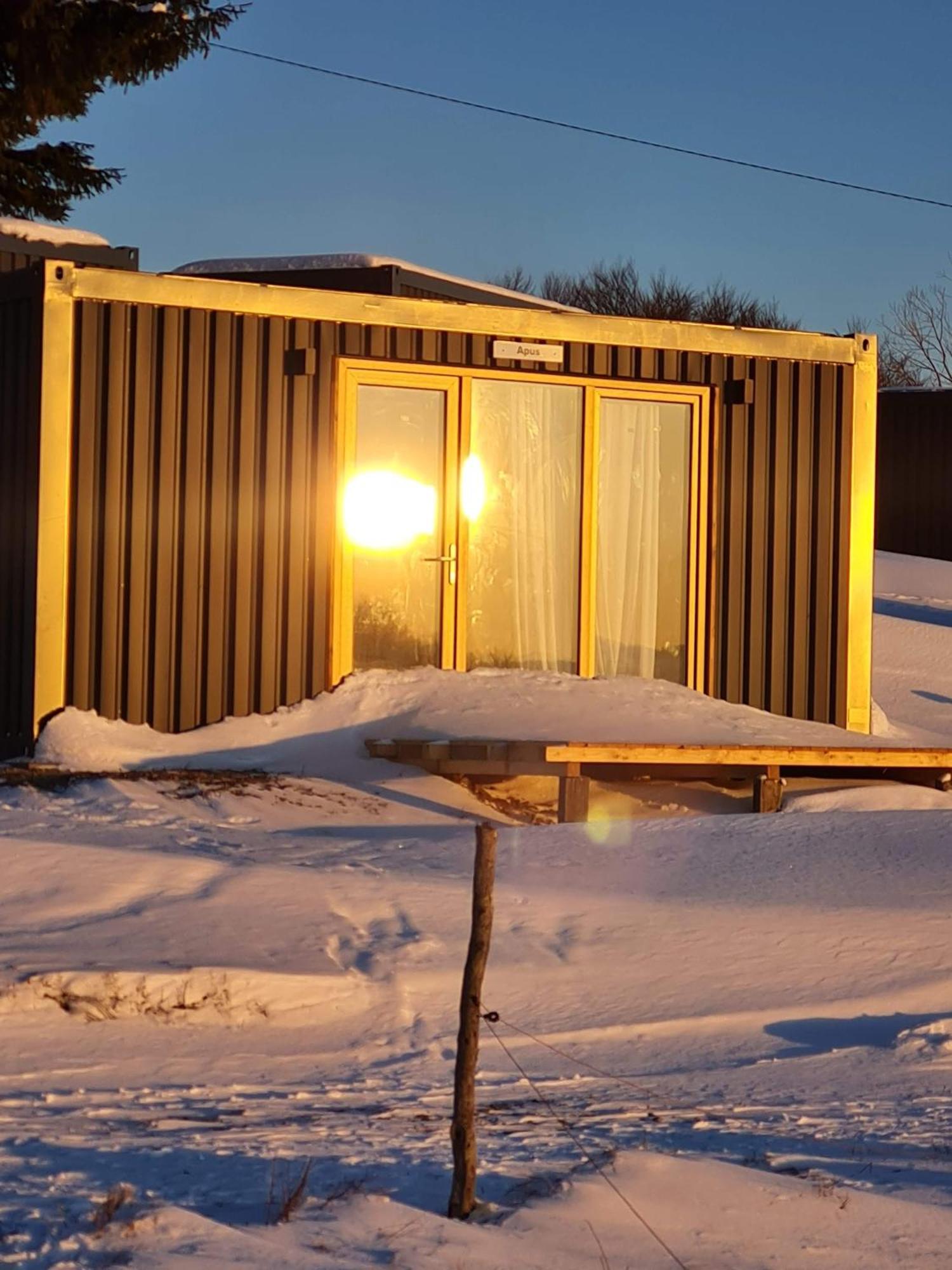 Ursa Mica Glamping Resort Şirnea Exterior foto