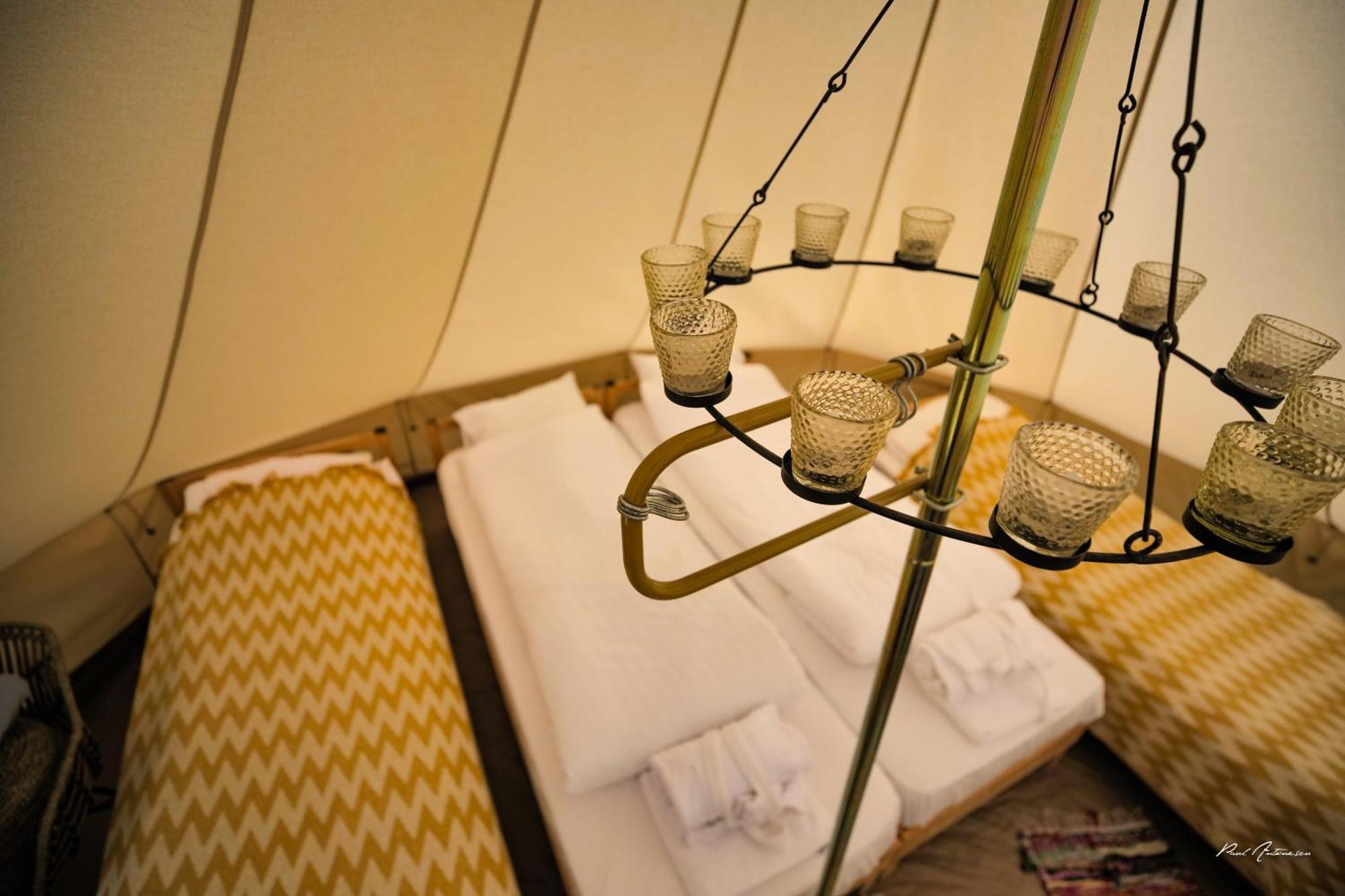Ursa Mica Glamping Resort Şirnea Exterior foto