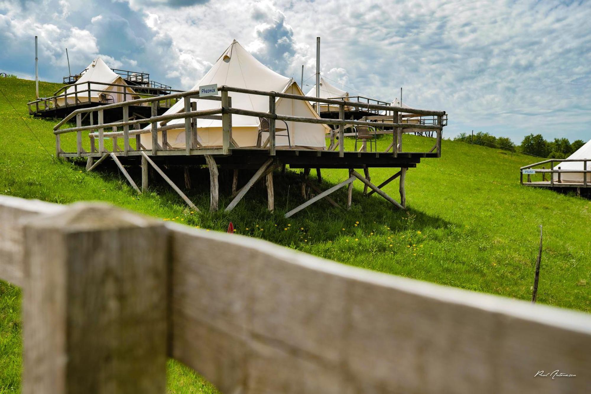 Ursa Mica Glamping Resort Şirnea Exterior foto
