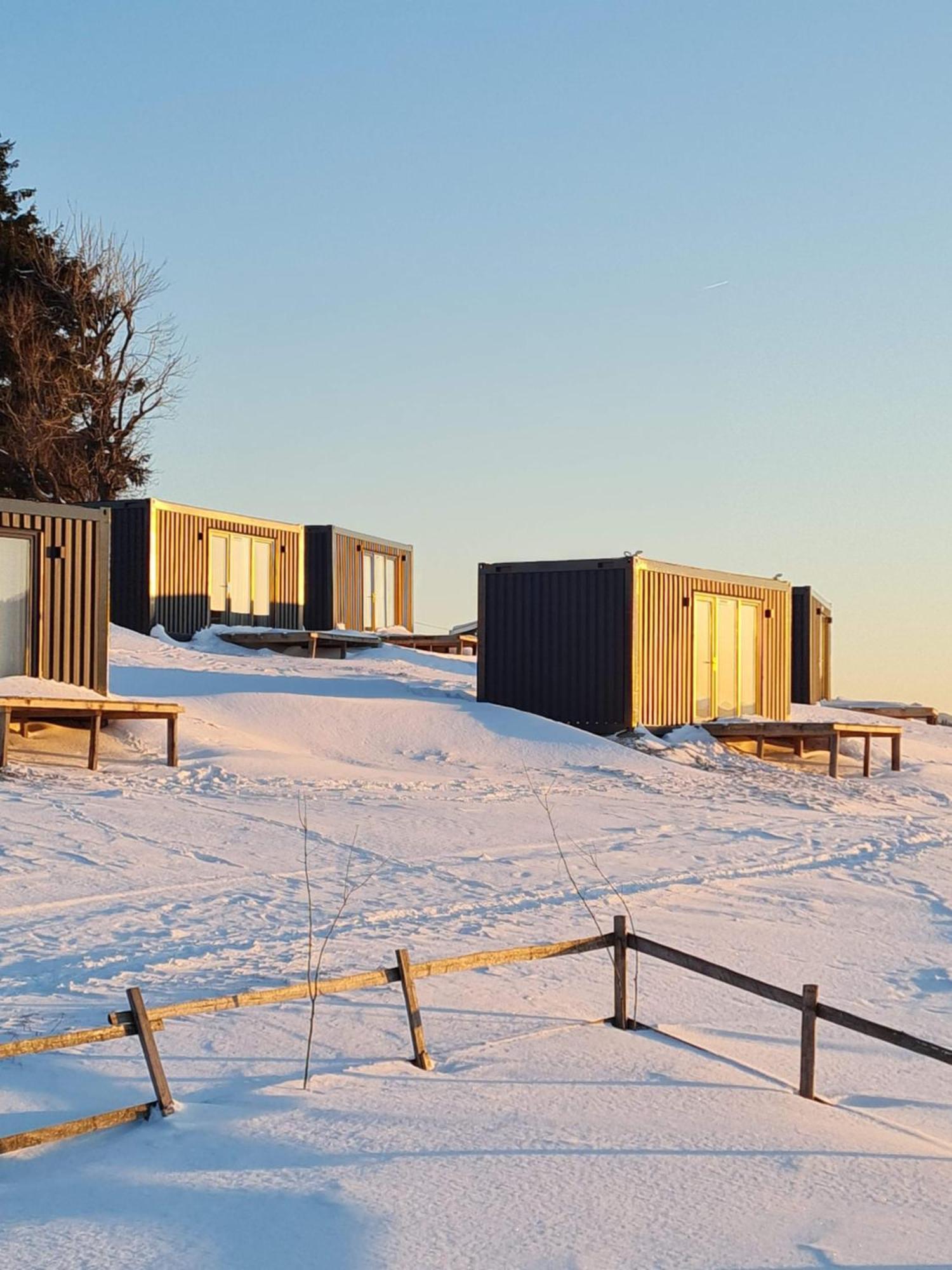 Ursa Mica Glamping Resort Şirnea Exterior foto