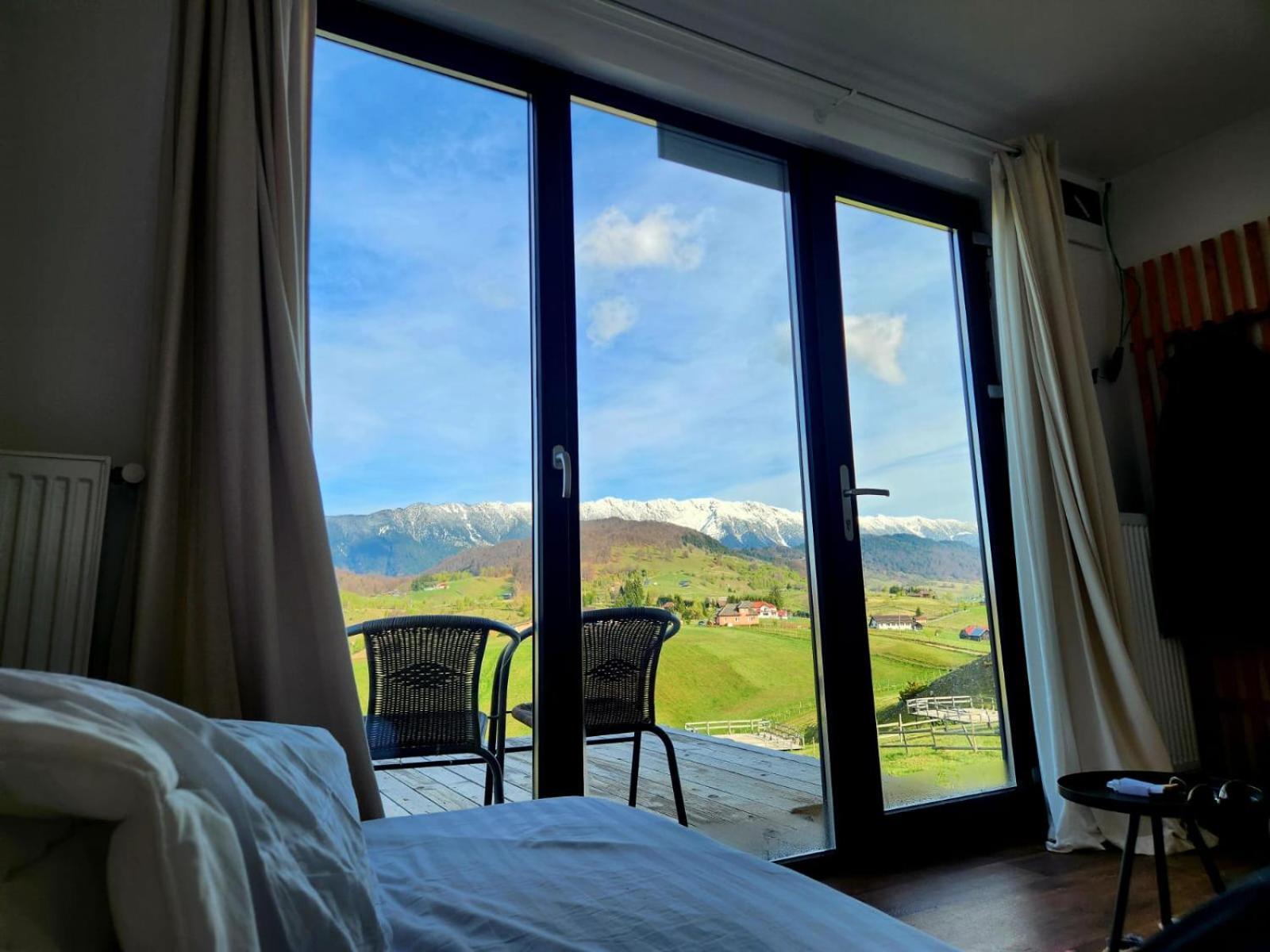 Ursa Mica Glamping Resort Şirnea Exterior foto