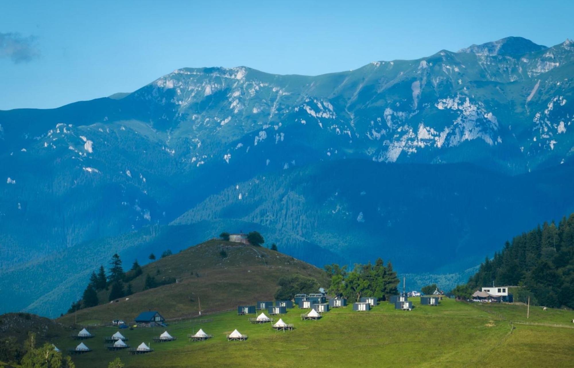 Ursa Mica Glamping Resort Şirnea Exterior foto